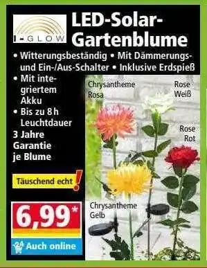 Norma Led-solar-gartenblume Angebot