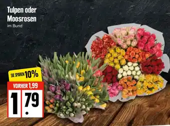 Edeka Tulpen oder Moosrosen Angebot