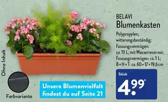 Aldi Nord Belavi Blumenkasten Angebot