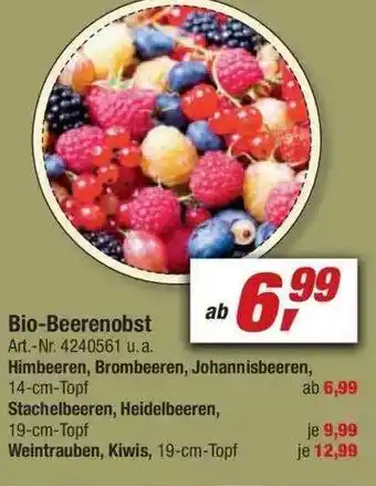 toom Baumarkt Bio-beerenobst Angebot