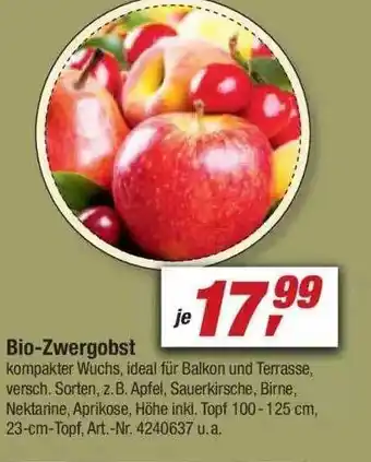 toom Baumarkt Bio-zwergobst Angebot