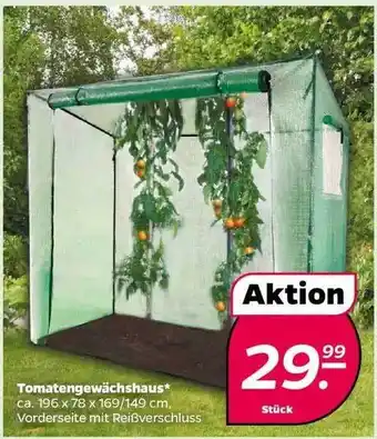 NETTO Tomatengewächshaus Angebot