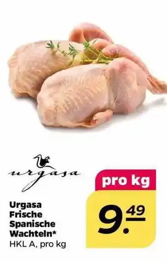 NETTO Urgasa Frische Spanische Wachteln Angebot