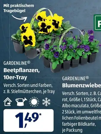 Aldi Süd Gardenline Beetpflanzen 10er Tray Angebot