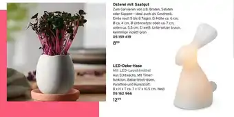 Tchibo Osterei Mit Saatgut Oder Led-deko-hase Angebot