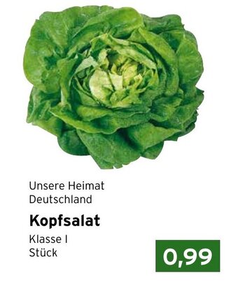 CAP Markt Kopfsalat Angebot