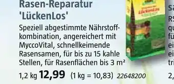 Bauhaus Rasen-reparatur 'lückenlos' Angebot