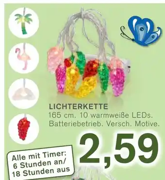 KODi Lichterkette 165cm Angebot