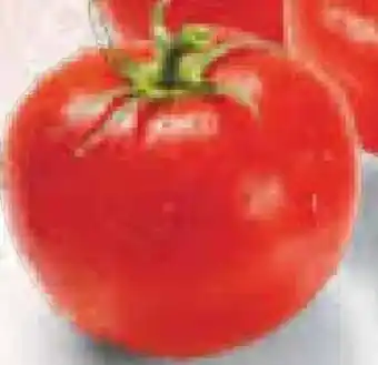 Netto Marken-Discount Bio-Rispen-Tomaten Angebot