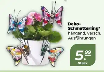 NETTO Deko-Schmetterling Angebot