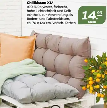 NETTO Chillkissen XL 70*120 Angebot