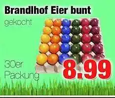 Edeka Scherer Brandlhof Eier Bunt Gekocht Angebot