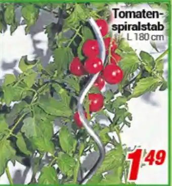 CENTERSHOP Tomatenspiralstab Angebot