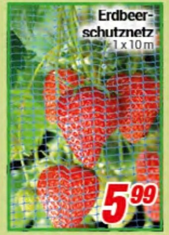 CENTERSHOP Erdbeerschutznetz Angebot