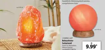 Lidl Livarno Lux Beleuchteter Salzkristall Angebot