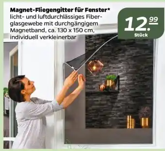 NETTO Magnet-Fliegengitter fur Fenster Angebot