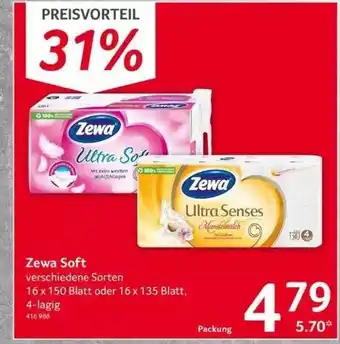 Selgros Zewa Soft Angebot