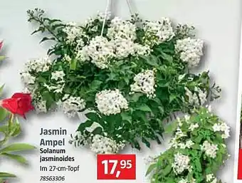 Bauhaus Jasmin Ampel Angebot