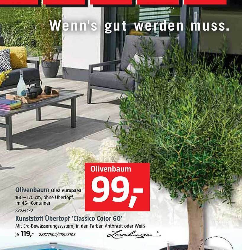 rhododendron düngen wie oft Rhododendron Dünger flüssig 5 L