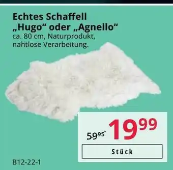 Hammer Echtes Schaffell „hugo” Oder „agnello” Angebot