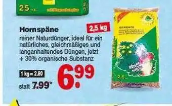 Repo Markt Hornspäne Angebot