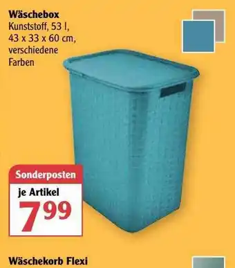 Globus Wäschebox Angebot