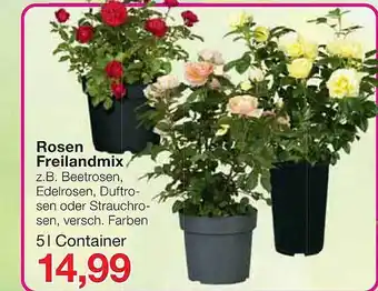 Jawoll Rosen Freilandmix Angebot