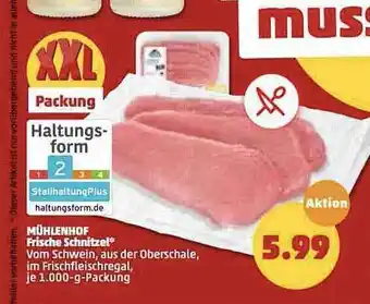 PENNY Mühlenhof Frische Schnitzel Angebot