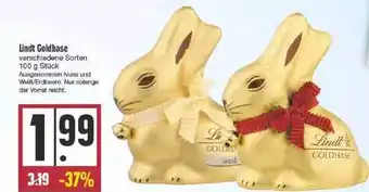 Edeka Lindt Goldhase Angebot