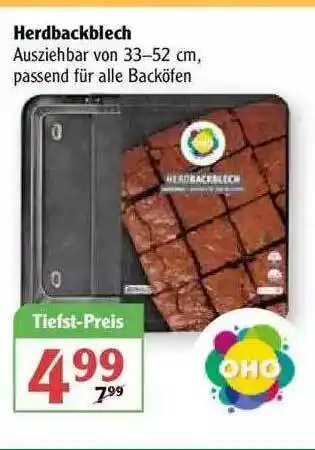 Globus Herdbackblech Angebot