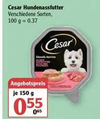 Globus Cesar Hundenassfutter Angebot