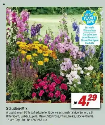 toom Baumarkt Stauden-mix Angebot