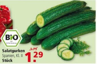 Multi Markt Salatgurken Angebot