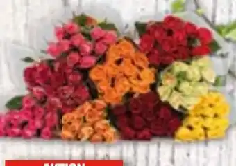 Edeka Harlekin-Rosen Angebot