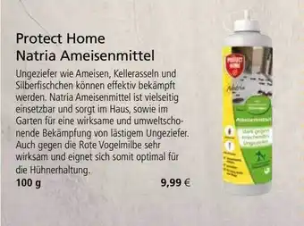 Kiebitzmarkt Protect Home Natria Ameisenmittel Angebot