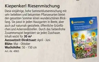 Kiebitzmarkt Kiepenkerl Riesenmischung Angebot