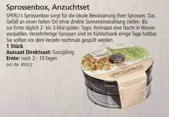 Kiebitzmarkt Sprossenbox, Anzuchtset Angebot