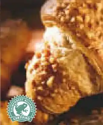 Netto Marken-Discount Nuss-Nougat-Croissant Angebot