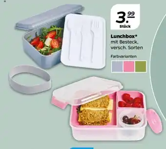 NETTO Lunchbox Angebot