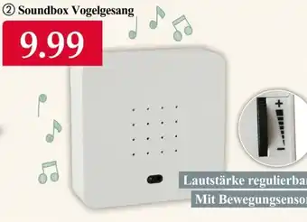 Woolworth Soundbox Vogelgesang Angebot