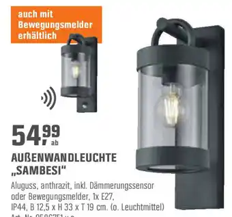 OBI Außenwandleuchte Sambesi Angebot