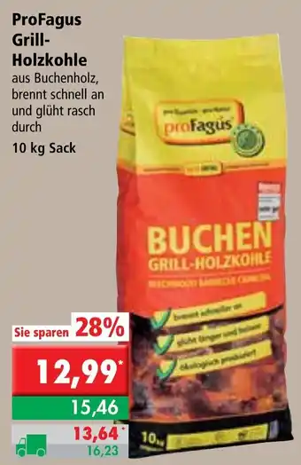 L. STROETMANN GROSSMARKT ProFagus Grill Holzkohle 10kg Sack Angebot