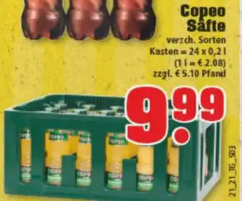 trinkgut Copeo Safte 24x0,2L Angebot