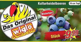 Wiglo Wunderland Kulturheidelbeeren Angebot