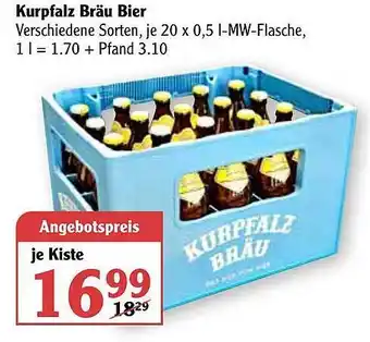 Globus Kurpfalz Bräu Bier Angebot