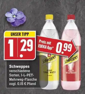 Scheck-in-Center Schweppes Angebot