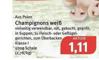 Feneberg Champignons Weiß Angebot