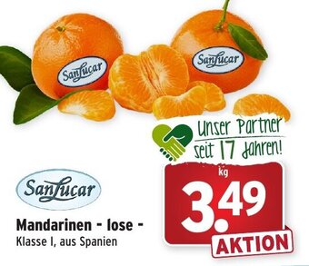 Wasgau SanLucar Mandarinen lose Angebot