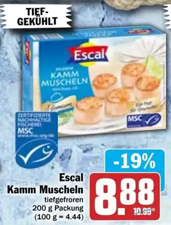 Hit Escal Kamm Muscheln 200g Packung Angebot