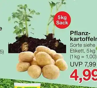 Jawoll Pflanzkartoffeln Angebot